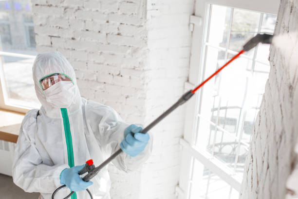 Best Dehumidification Services  in Lame Deer, MT