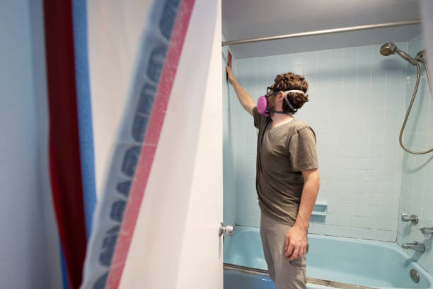 Trusted Lame Deer, MT Mold Removal Experts