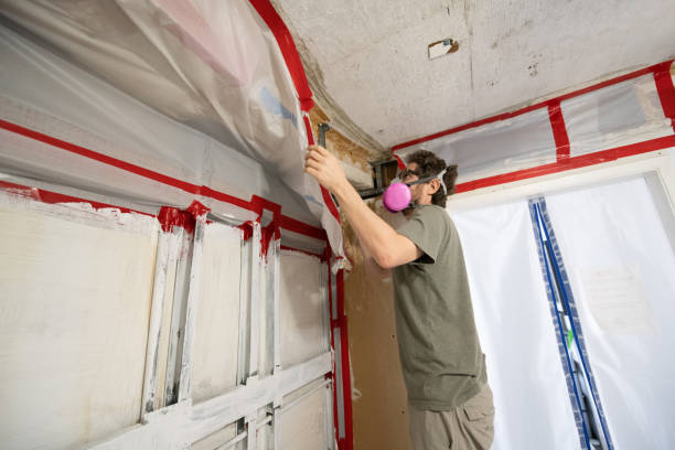 Best Forensic Mold Investigation  in Lame Deer, MT
